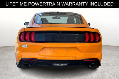 2019 Ford Mustang EcoBoost