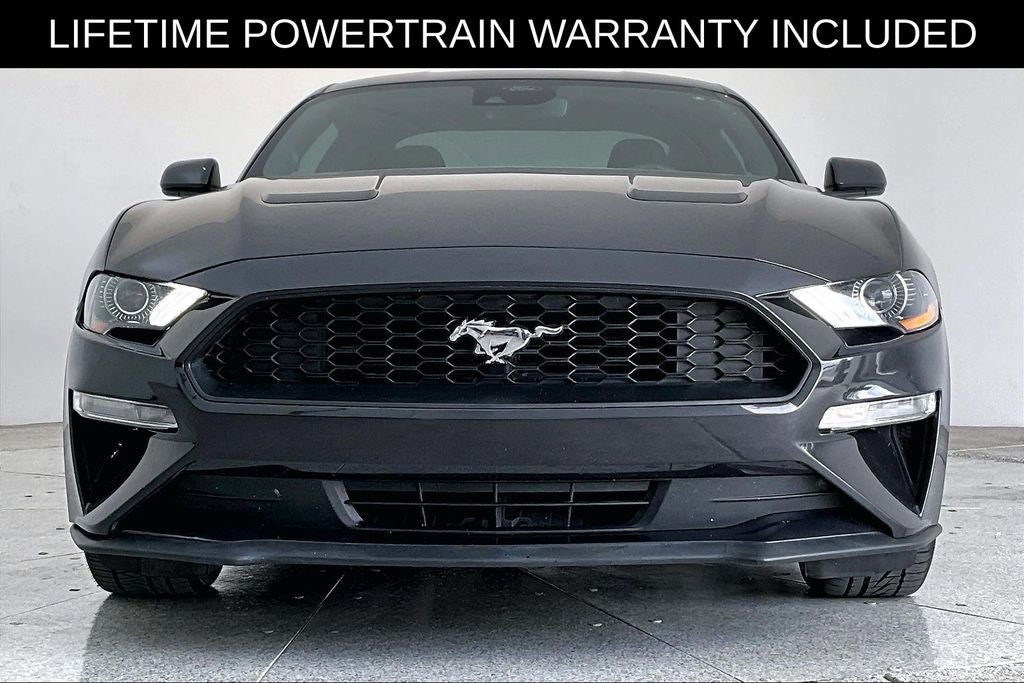 2023 Ford Mustang EcoBoost