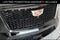 2025 Cadillac Escalade ESV Sport Platinum