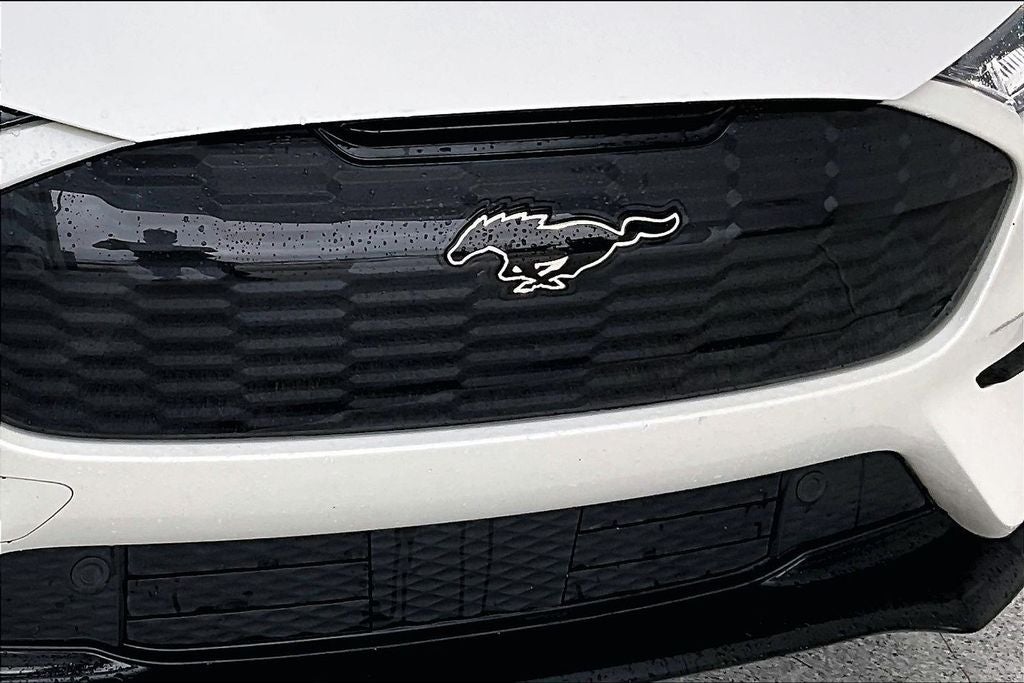 2021 Ford Mustang Mach-E GT