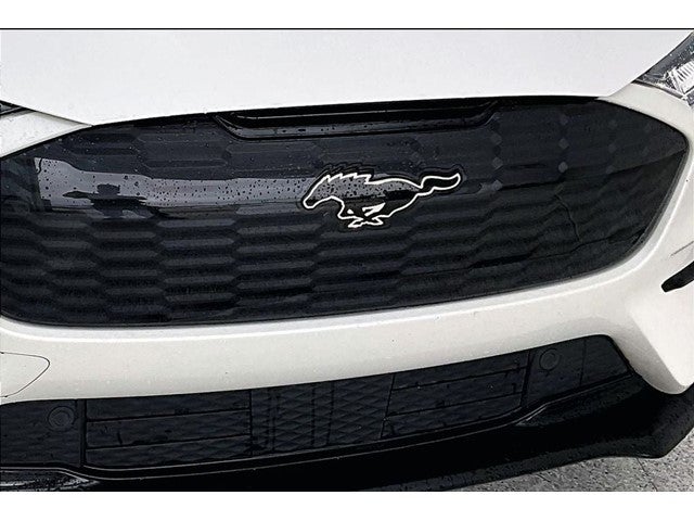 2021 Ford Mustang Mach-E GT