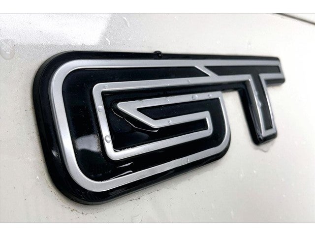 2021 Ford Mustang Mach-E GT