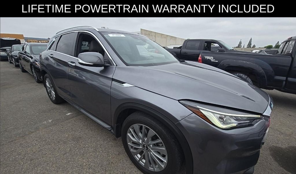 2024 INFINITI QX50 Luxe FWD's photo