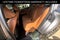 2023 INFINITI Q50 SENSORY