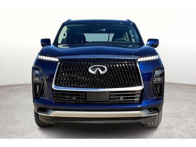 2025 INFINITI QX80 PURE
