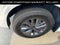 2026 INFINITI QX80 PURE