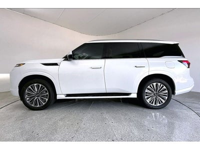 2027 INFINITI QX80 LUXE