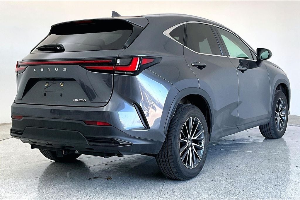 2024 Lexus NX 250