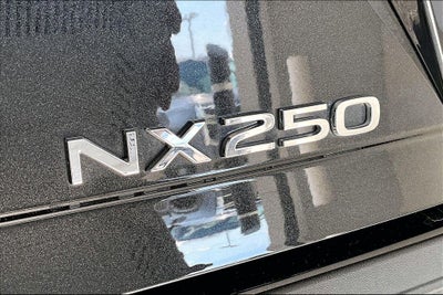 2025 Lexus NX 250 Premium