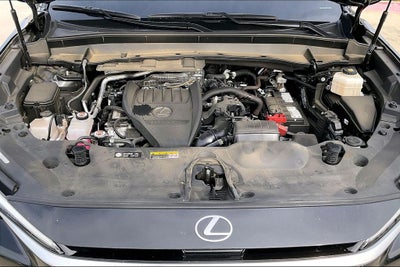 2025 Lexus TX 350 Luxury