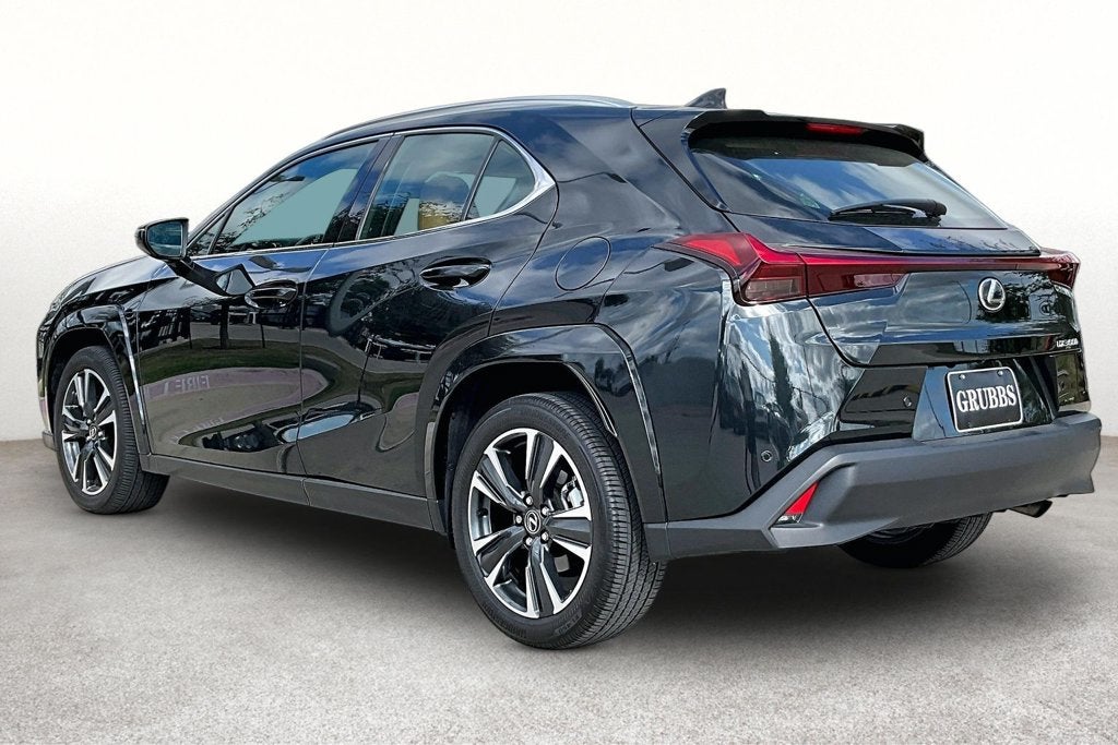 2025 Lexus UX 300h Premium
