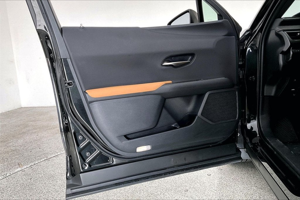 2025 Lexus UX 300h Premium