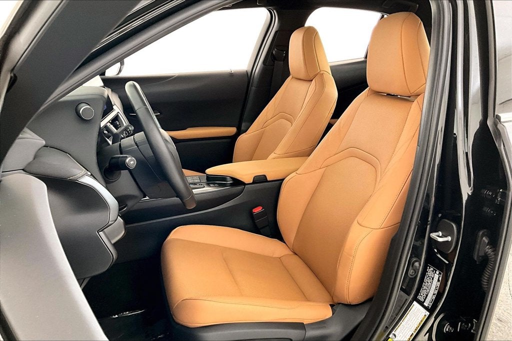 2025 Lexus UX 300h Premium