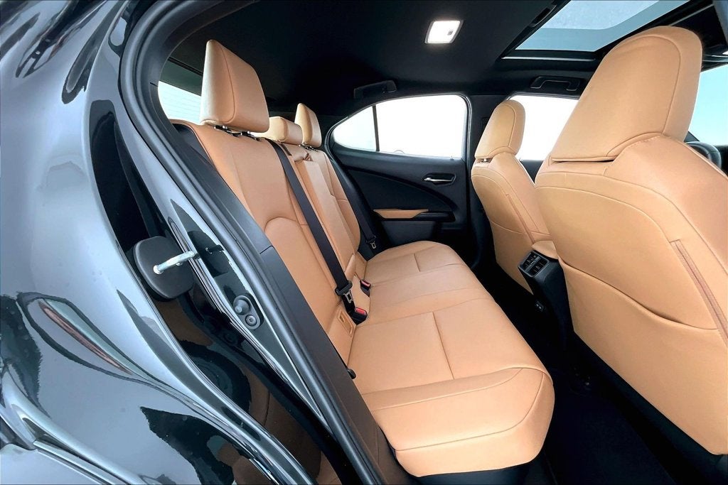 2025 Lexus UX 300h Premium