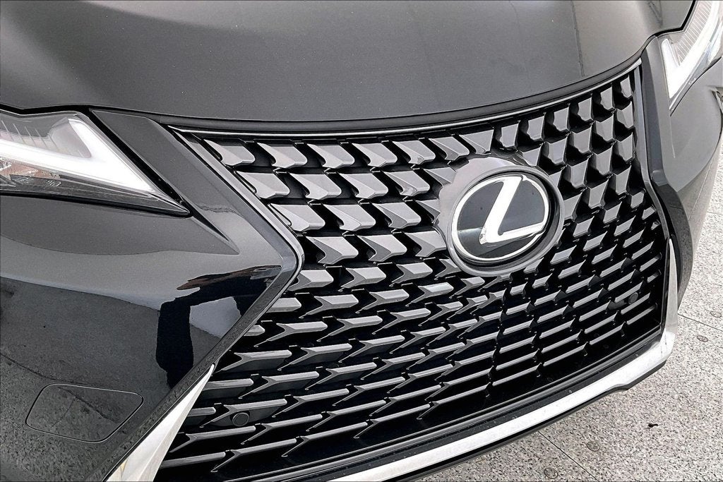 2025 Lexus UX 300h Premium