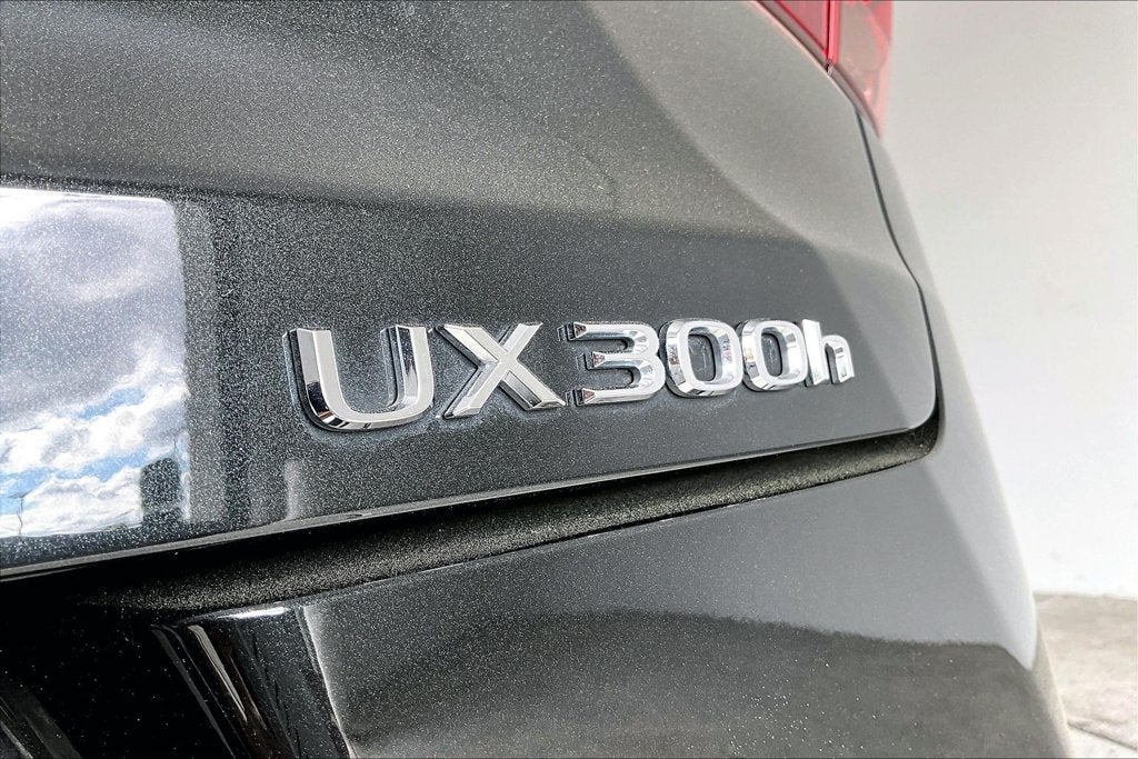 2025 Lexus UX 300h Premium