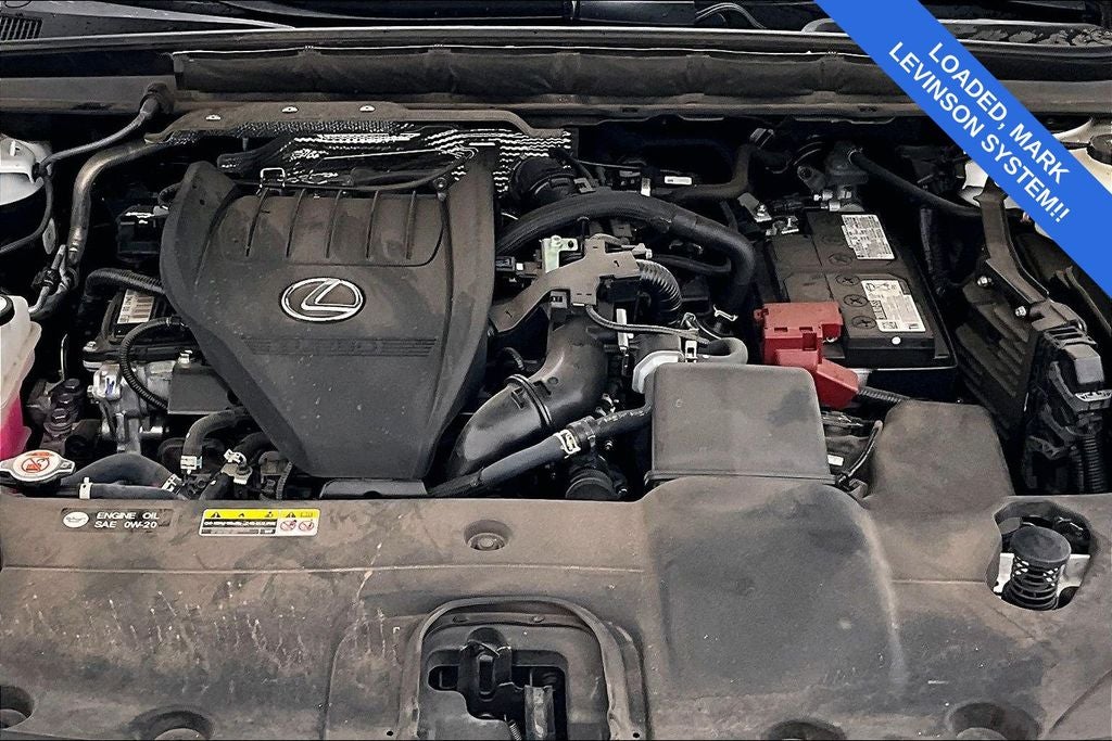 2023 Lexus RX 350 Luxury