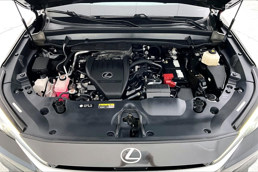 2024 Lexus TX 350 Premium