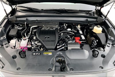 2026 Lexus TX 350 Luxury