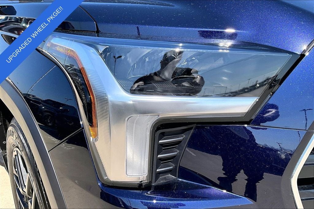 2025 Toyota Sequoia Limited