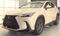 2024 Lexus NX 350 Base