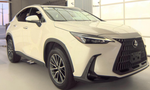 2024 Lexus NX 350 Base