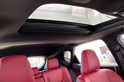 2024 Lexus NX 350 Base