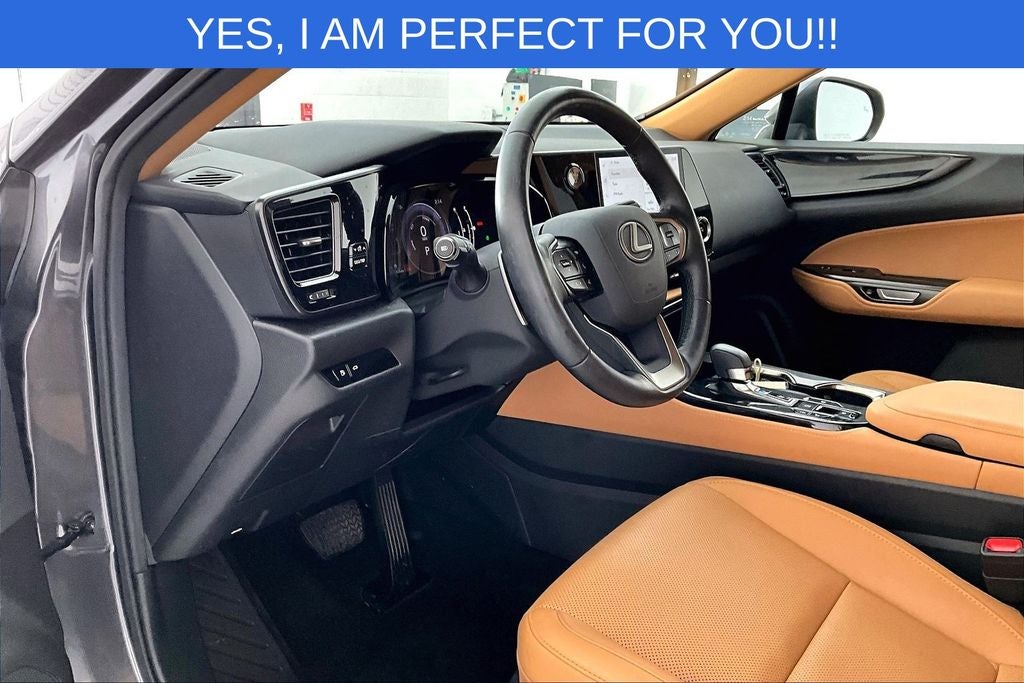 2023 Lexus NX 350h Base