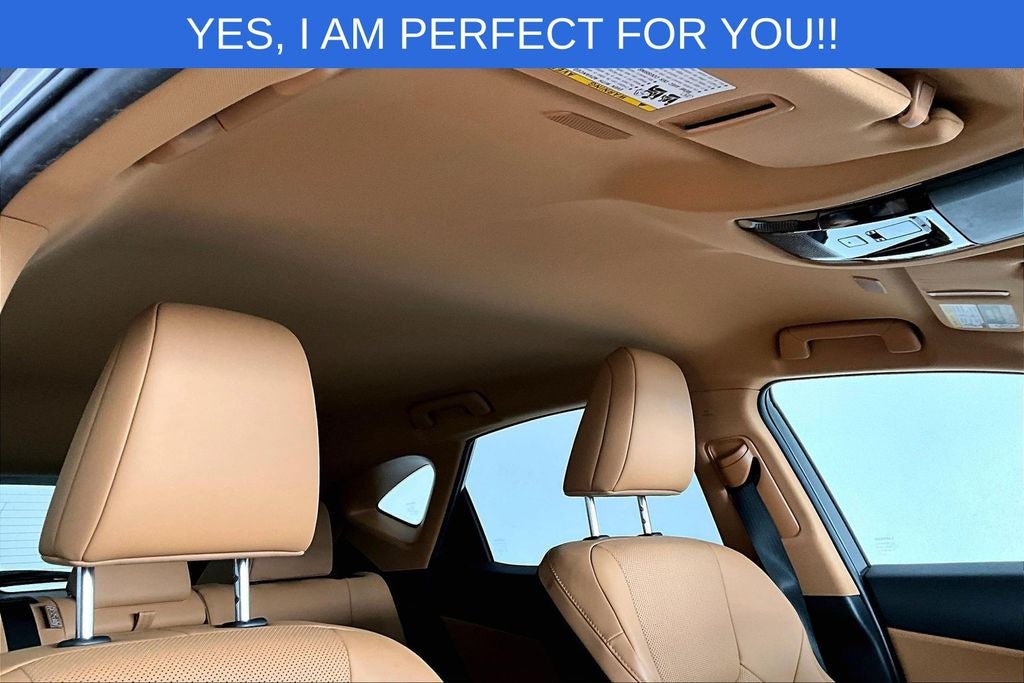 2023 Lexus NX 350h Base