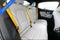 2024 Polestar 2 Long Range Dual Motor Performance Plus
